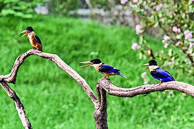 《毁灭战士：永恒》PC画面补丁将增加DLSS和光追特效