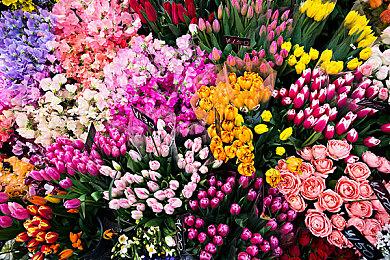 招聘信息显示《GTA 6》更加重视光追技术效果